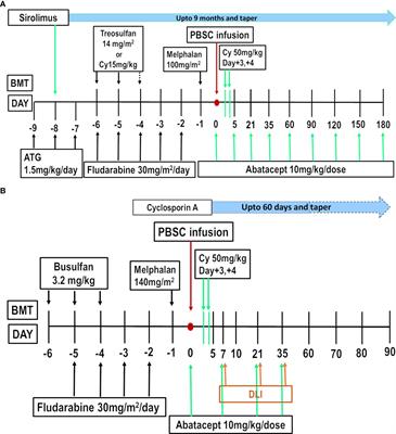 Abatacept and T-cell costimulation blockade—shifting the paradigm in the prevention of graft-versus-host disease